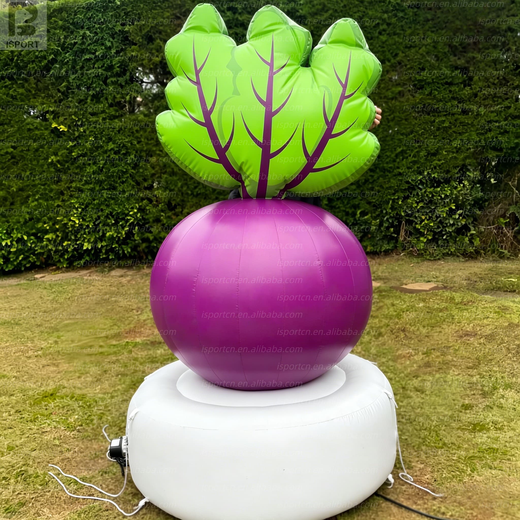 Giant Inflatable Beetroot with LED Lights