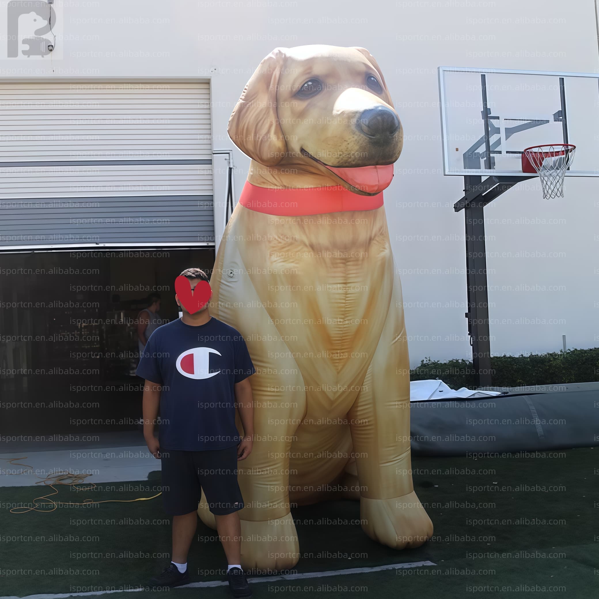Giant Inflatable Golden Retriever Dog Advertising Mascot